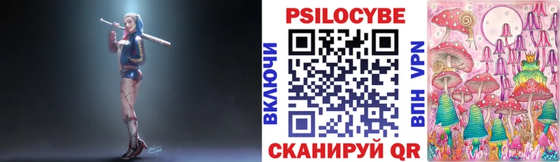 магазин  наркотиков  Ртищево  Галлюциногенные грибы Psilocybine cubensis 